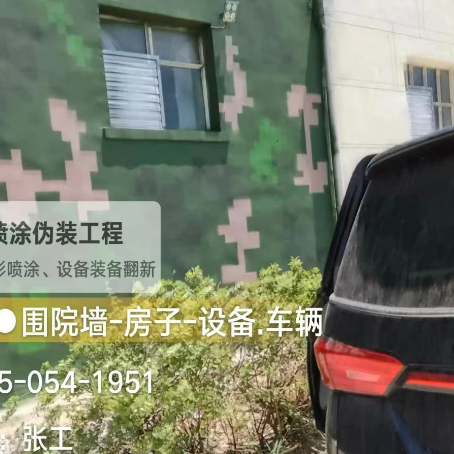 娄底数码迷彩漆施工